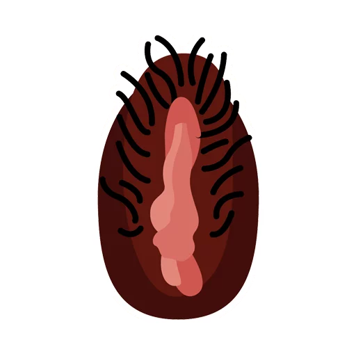 Vaginas sticker 11