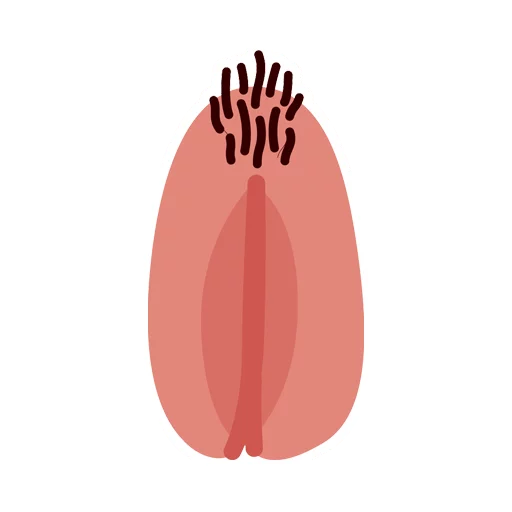 Vaginas sticker 12