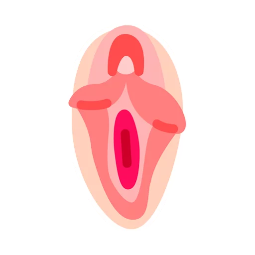 Vaginas sticker 3