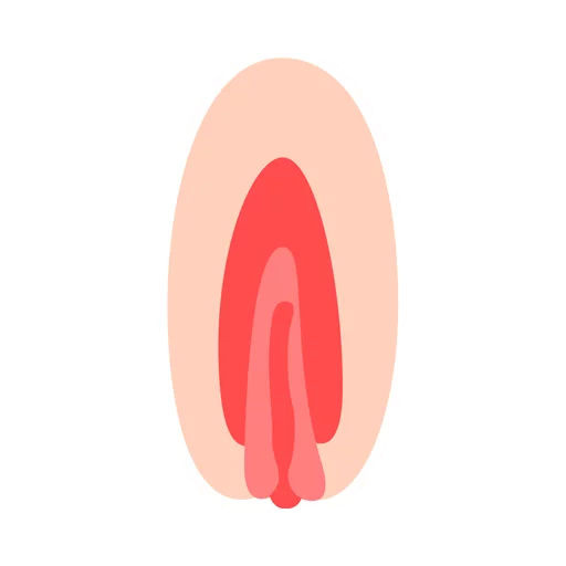 Vaginas sticker 5