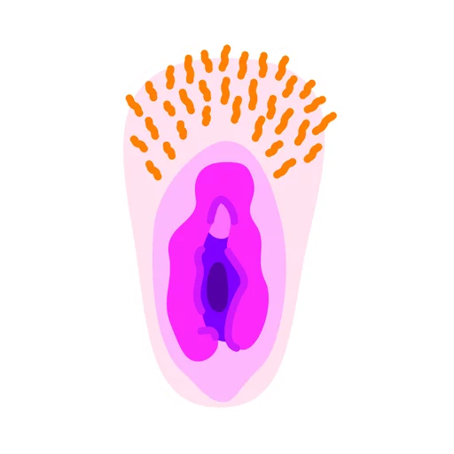 Vaginas sticker 7