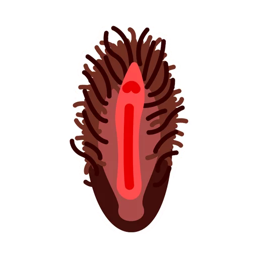 Vaginas sticker 8