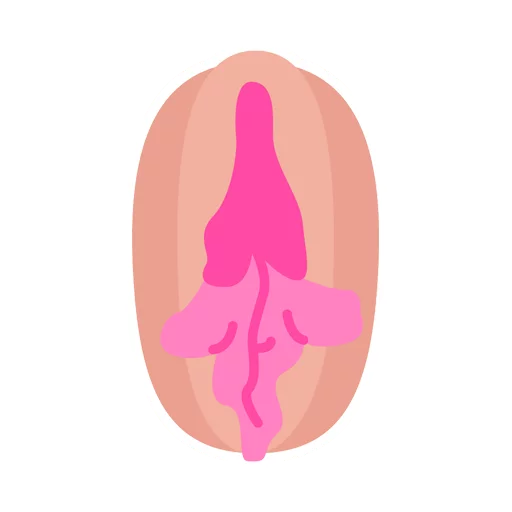 Vaginas sticker 9