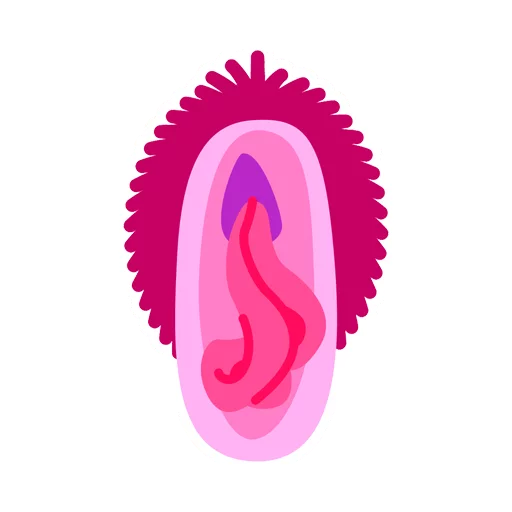 Vaginas sticker 10