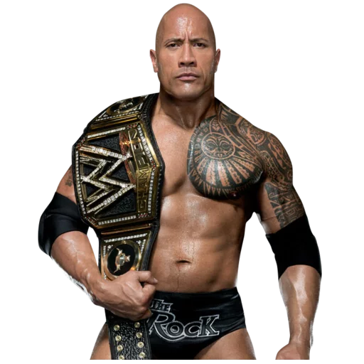 WWE sticker 2