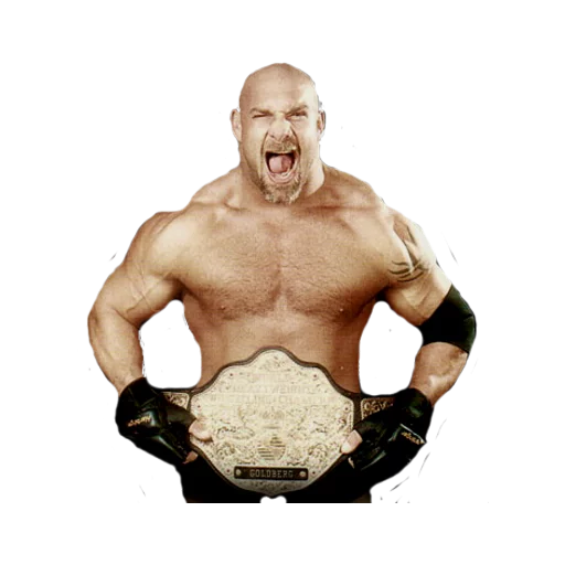 WWE sticker 12