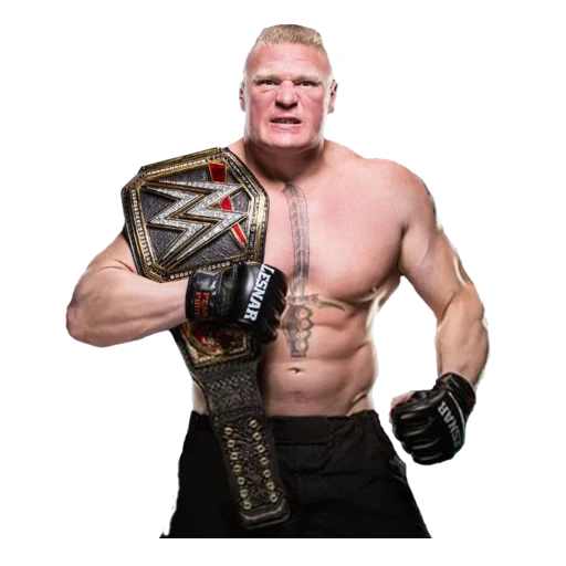 WWE sticker 3
