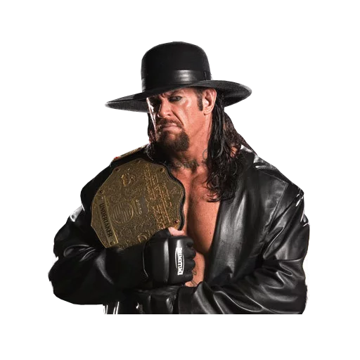 WWE sticker 4