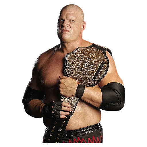 WWE sticker 5