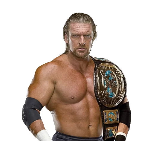 WWE sticker 8