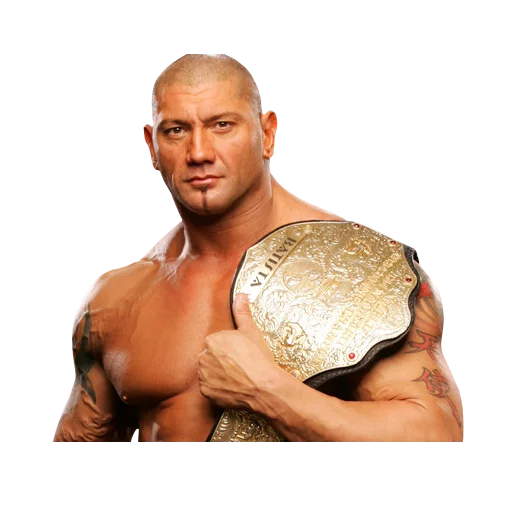 WWE sticker 9