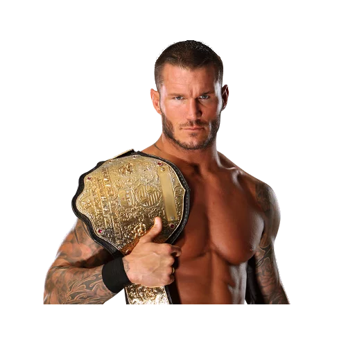 WWE sticker 10