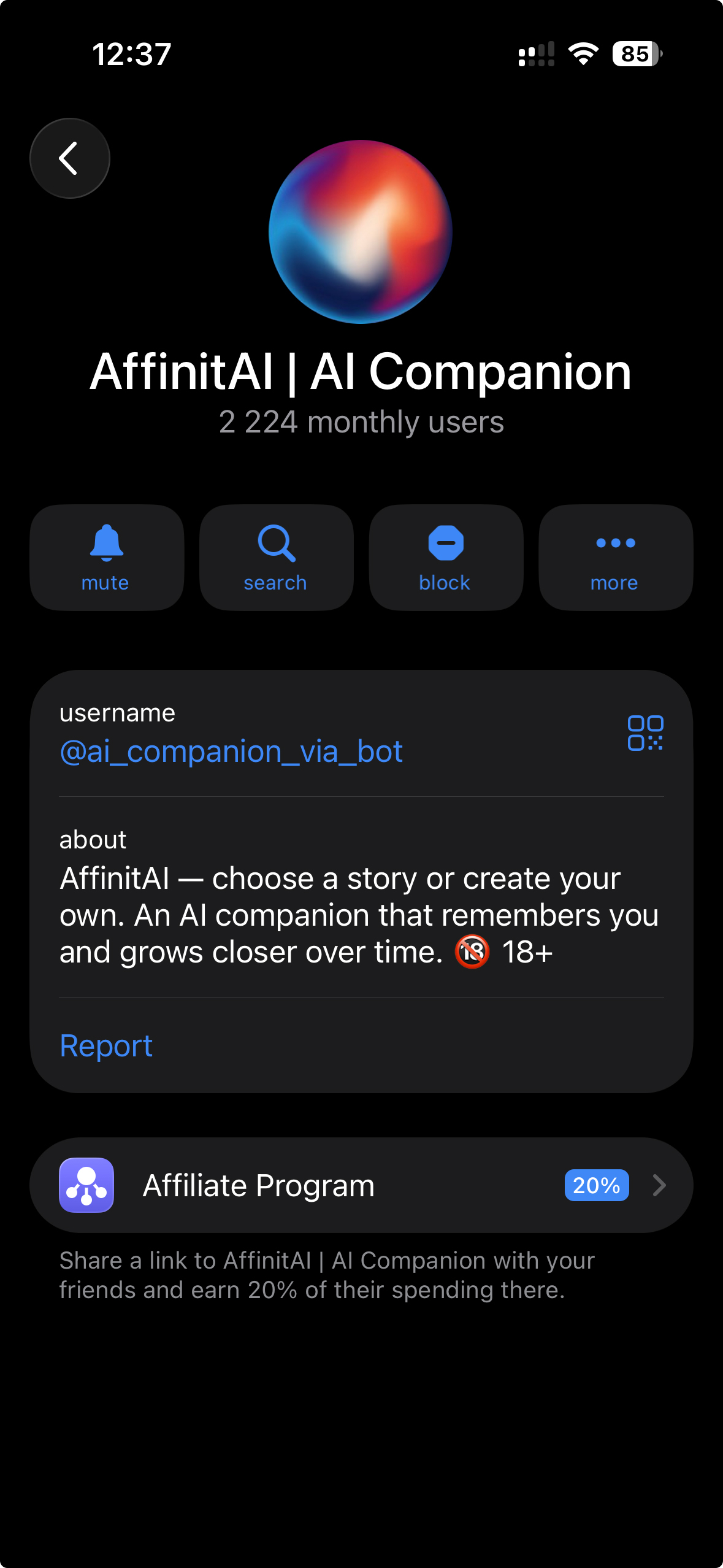 AffinitAI | AI Companion — Screenshot 10