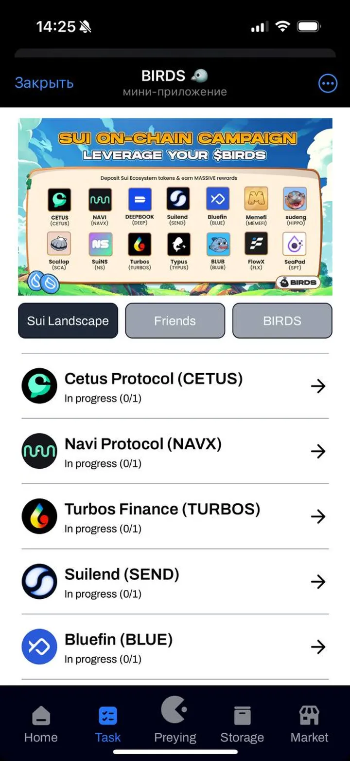Birds — Screenshot 2