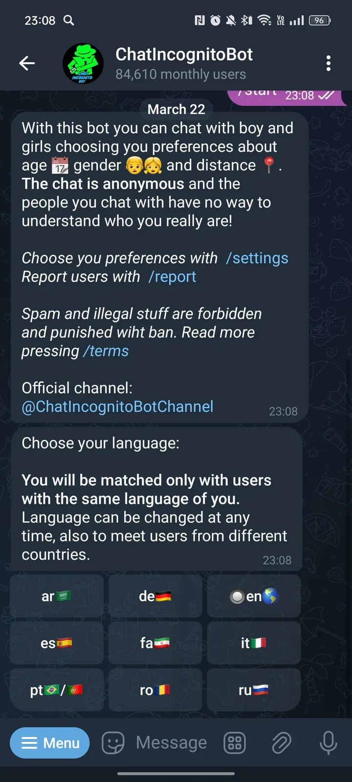 ChatIncognitoBot — Screenshot 2