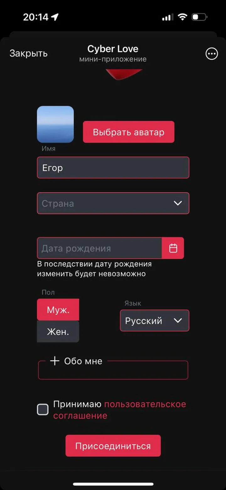 Cyber Love — Screenshot 3