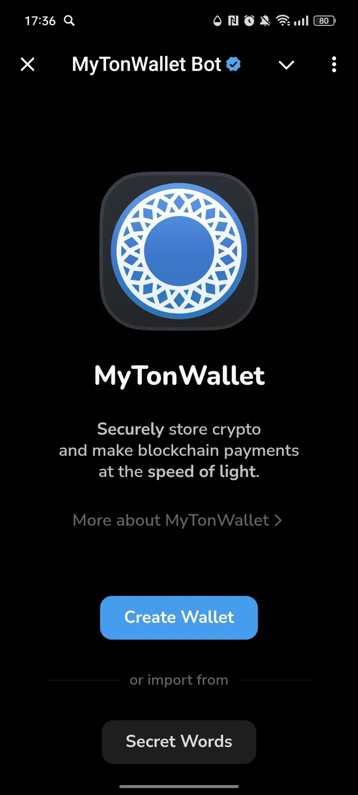 MyTonWallet App — Screenshot 1