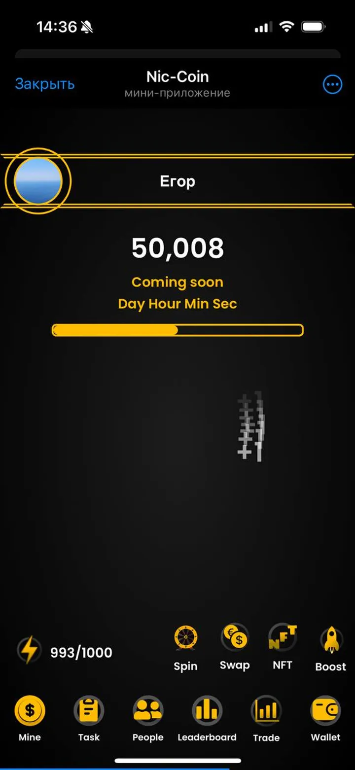 Nic-Coin — Screenshot 2