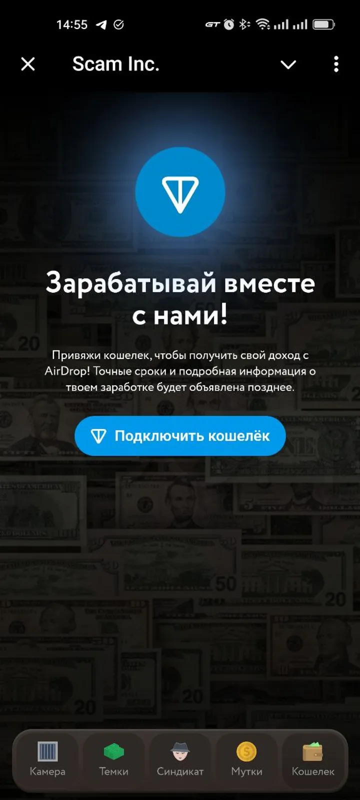 Scam Inc. — Screenshot 5