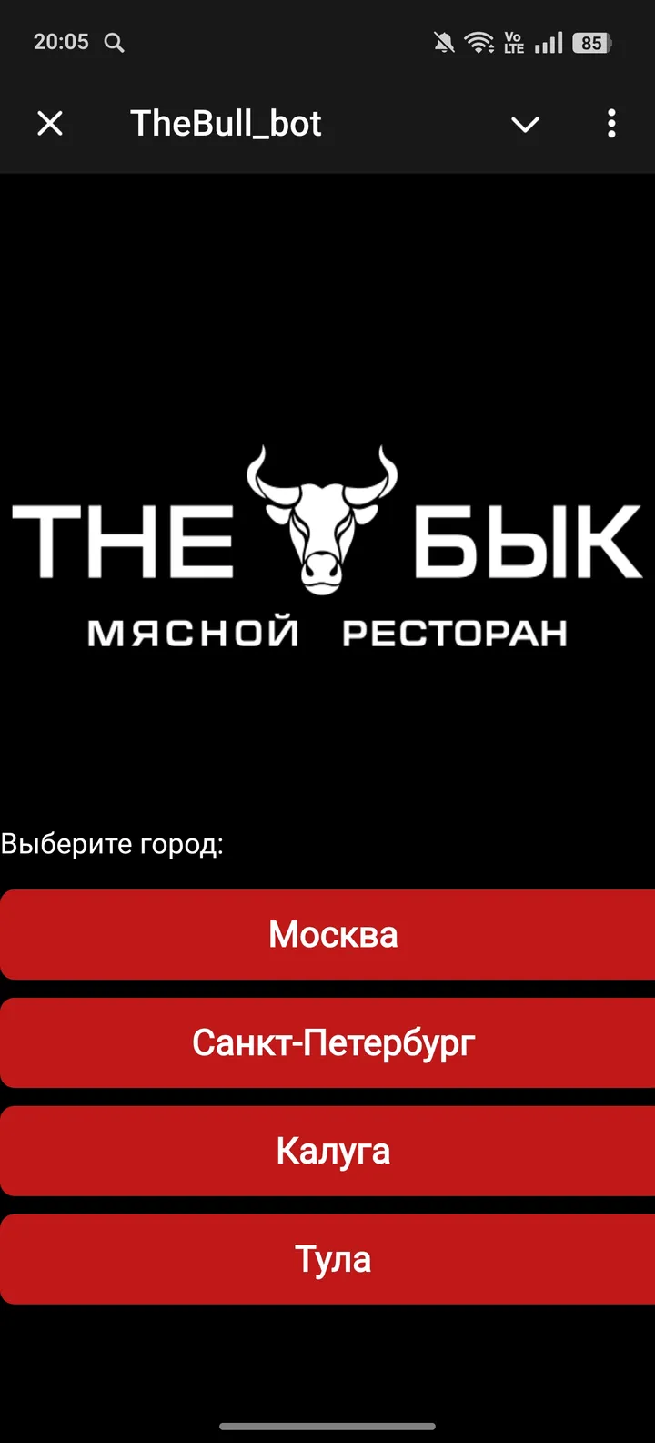 TheBull_bot — Screenshot 2
