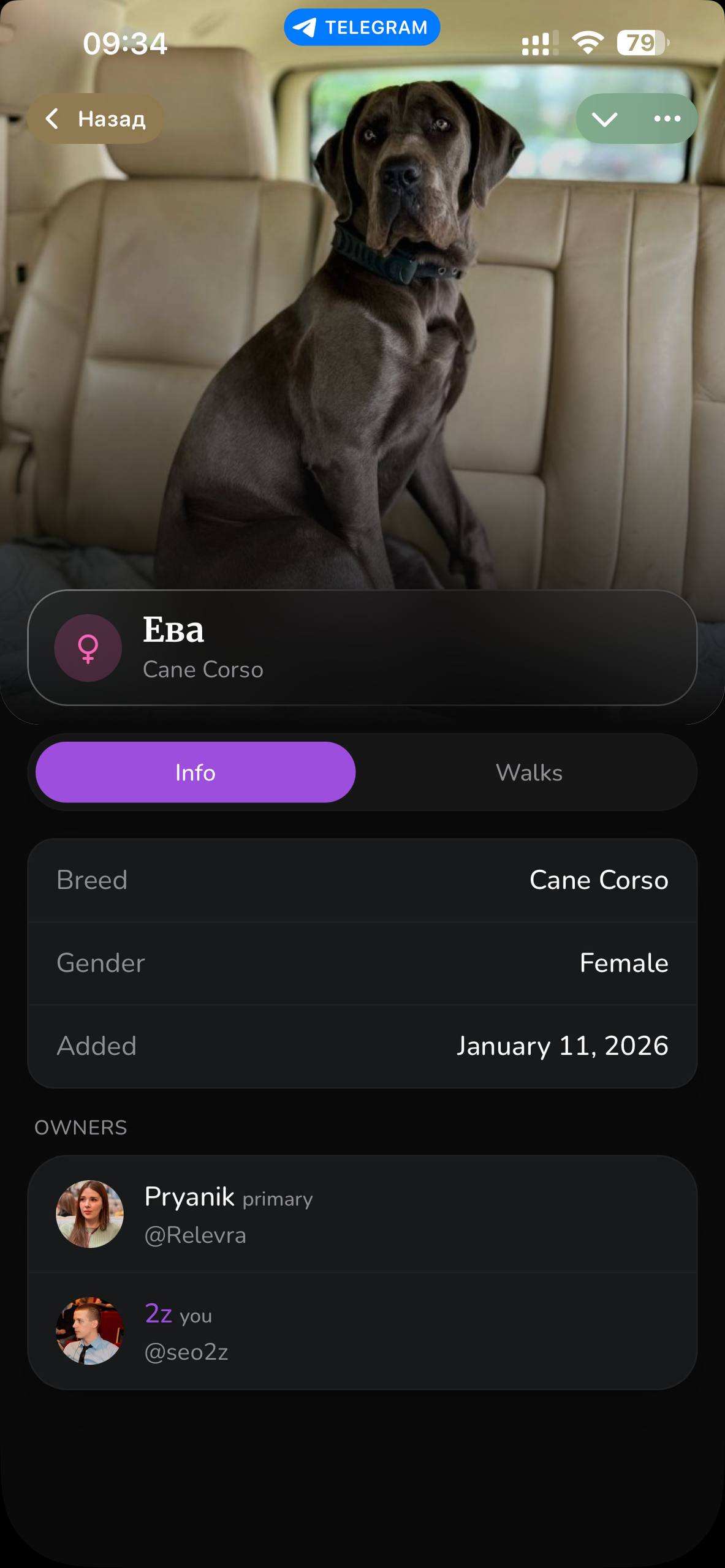 Wufy — Screenshot 8