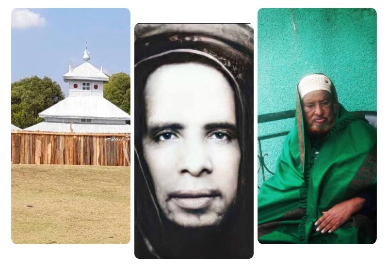 ሰሉ ዓለል ሐቢቢ   ❀❀❀❀❀❀❀❀❀❀❀❀❀❀❀  ከአብሬትዩ ሳኒ(ቀ.ሲ) ደላኢል ከጊዛዑል ዓቢድን የሰለዋት ኪታብ የተወሰደ ...