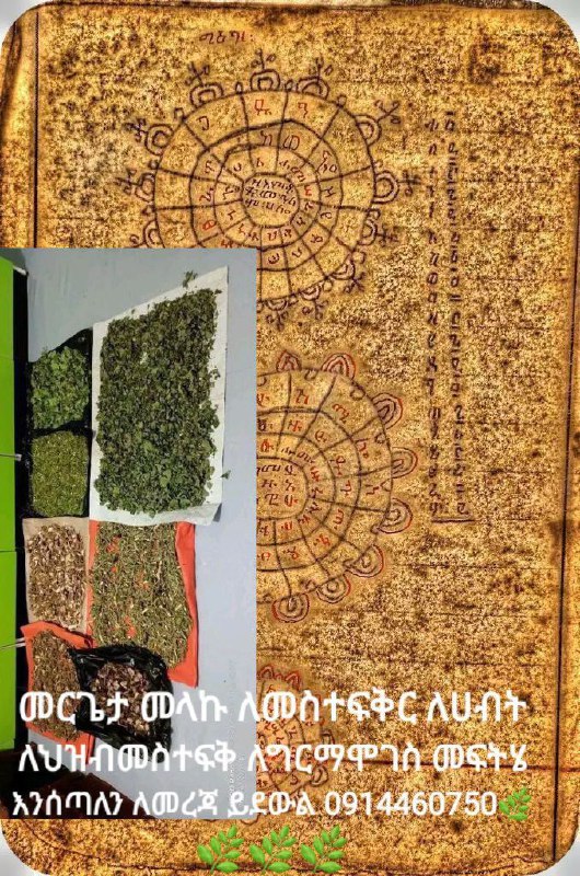 ይህ ዕጽ፦ ዕጸ ገትር፥መወፍር፥ ዘኢያወርድ እየተባለ ይጠራል። ይህ ማለት ድክመተ ወሲብ ያለቸው ወንዶችን ብልታቸው የሚያጠነ...