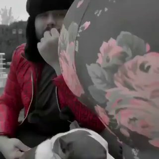 Picture 1 from BAD VIDEOS 2021-08-27 17:30:03
