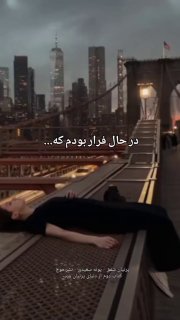 Picture 1 from زندگی بنفش 2025-12-23 20:21:04