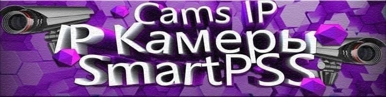 Picture 1 from Cams IP | SmartPSS 2021-11-29 16:52:44