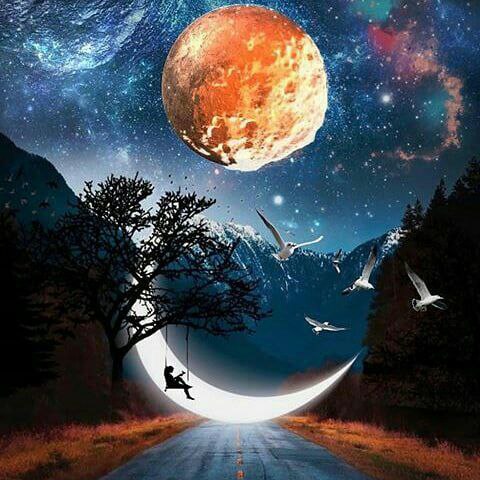 Picture 1 from عبارات راقيه ..😍😍 2023-01-17 00:58:37