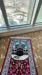 Picture 1 from Top Faktlar 2023-02-17 12:59:18