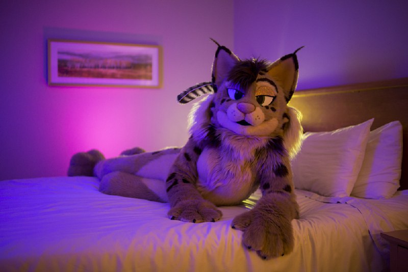 Picture 1 from furryfursuits at 2021_04_03