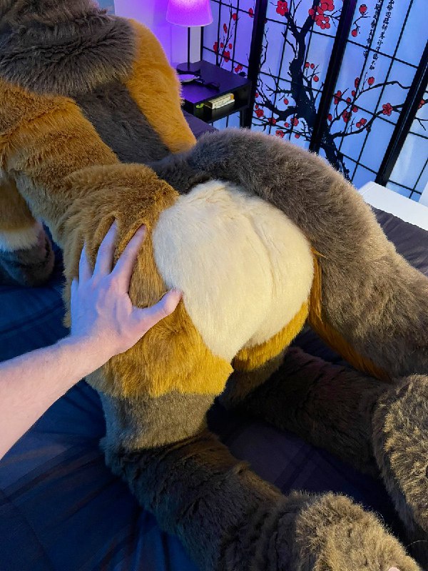 Picture 1 from furryfursuits at 2021_05_07