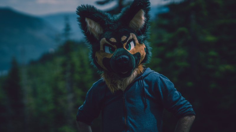Picture 2 from furryfursuits at 2021_06_13