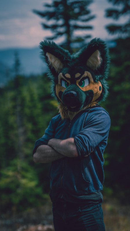 Picture 3 from furryfursuits at 2021_06_13