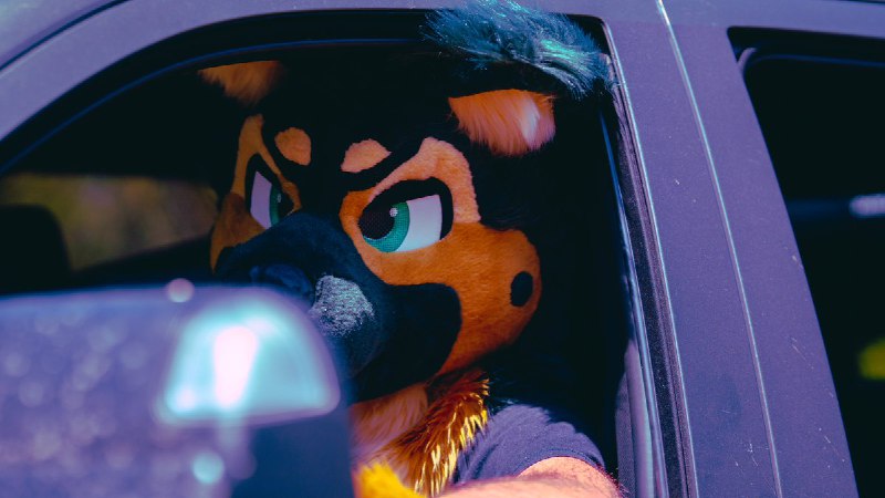 Picture 4 from furryfursuits at 2021_06_13