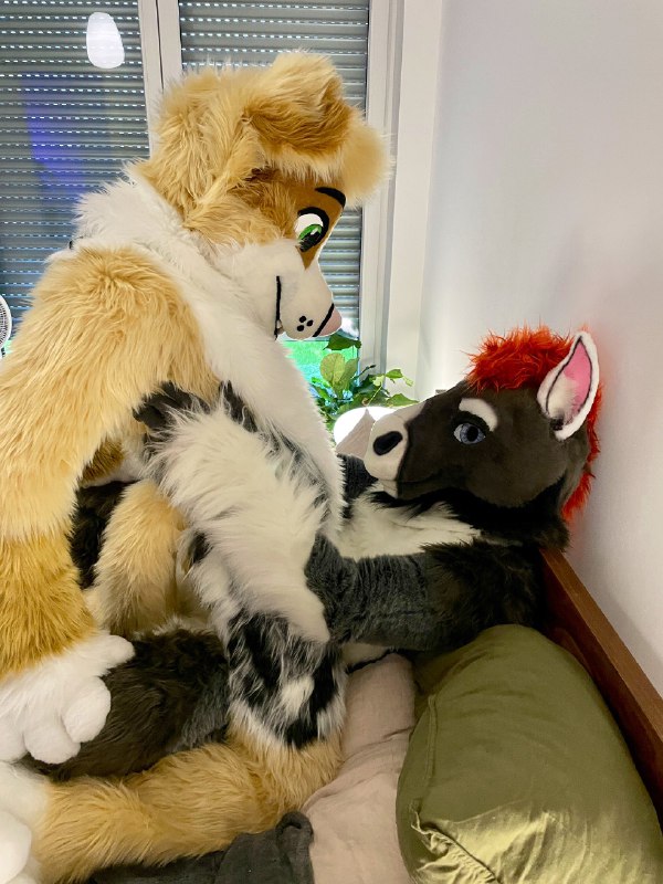 Picture 1 from furryfursuits at 2021_08_24