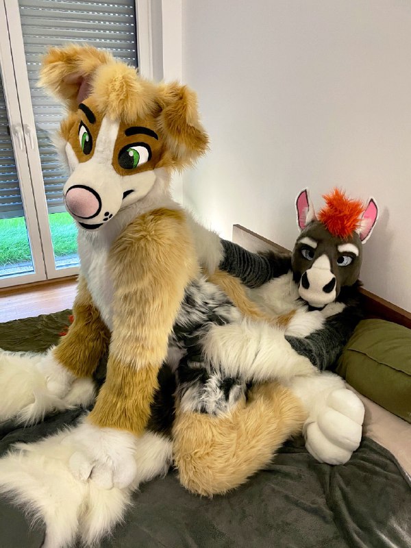 Picture 2 from furryfursuits at 2021_08_24