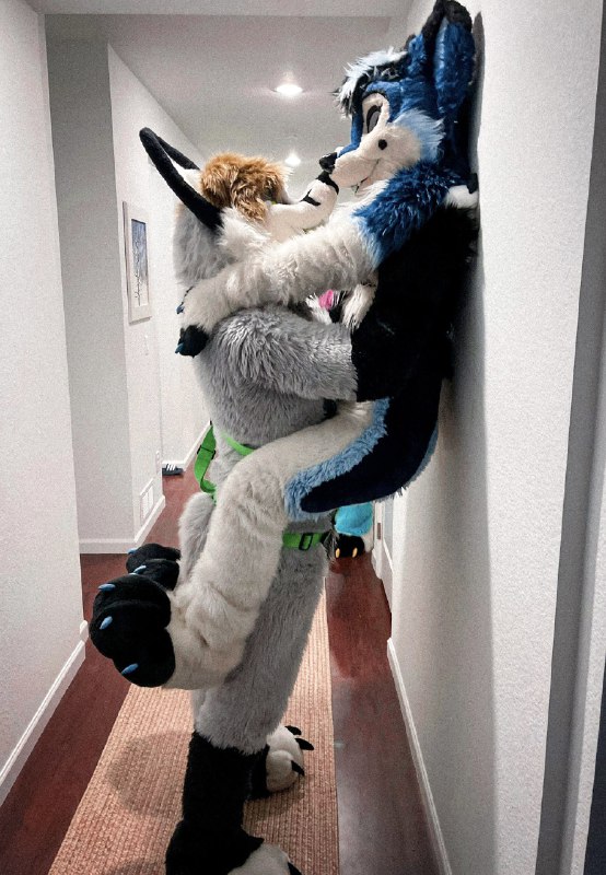 Picture 1 from furryfursuits at 2021_09_12