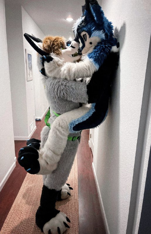 Picture 2 from furryfursuits at 2021_09_12
