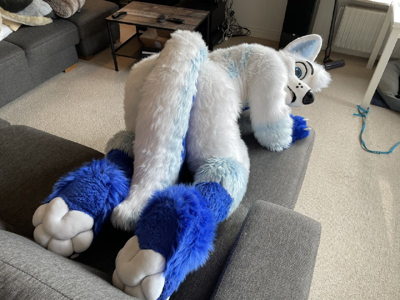 Picture 1 from furryfursuits at 2021_09_16