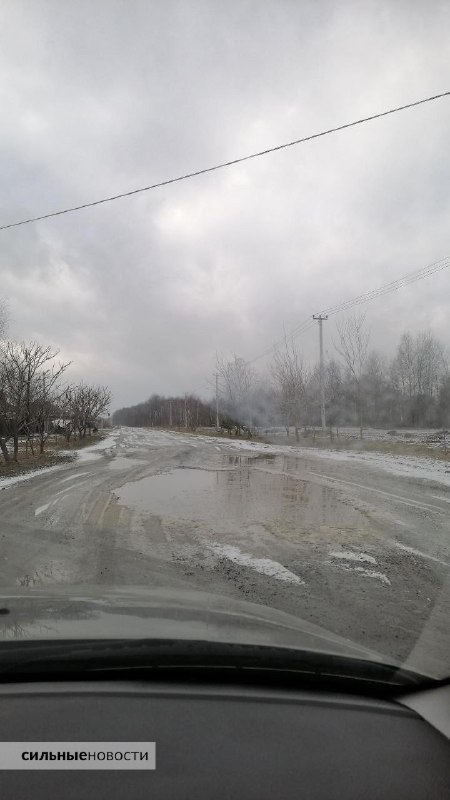 Picture 3 from Сильные Новости - gomel.today 2023-03-06 17:58:30