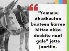 Mammaaksaa fi Jechamoota  Jechama Qabeenya Agarsiisan     Itti robe –  qabeen...