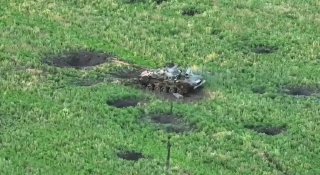 Picture 1 from militarywarvideo at 2022_07_06