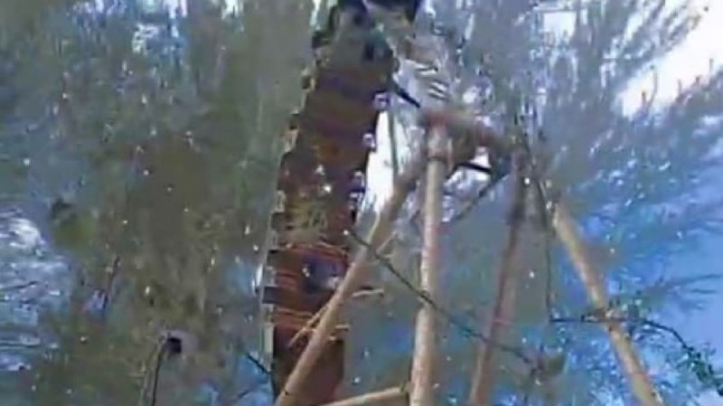 Picture 1 from Ташкенские Новости 2023-03-31 21:00:29