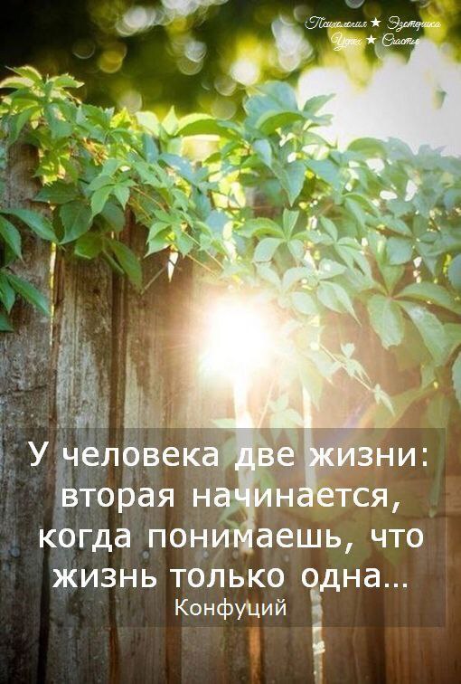 Picture 1 from Врачи Узбекистана 2025-08-29 12:00:05