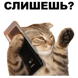 Переговоры sticker 2