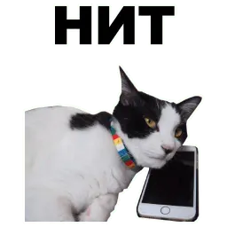 Переговоры sticker 11