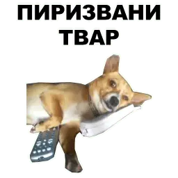 Переговоры sticker 12